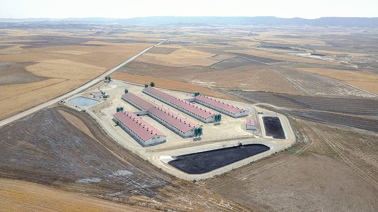 granja